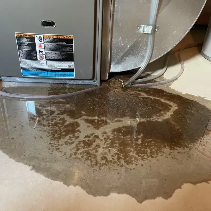 Appliance Leak Cleanup in Morton, PA